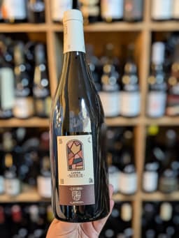 Domaine Pascal et Béatrice Lambert, "cuvée Marie" (BIO)